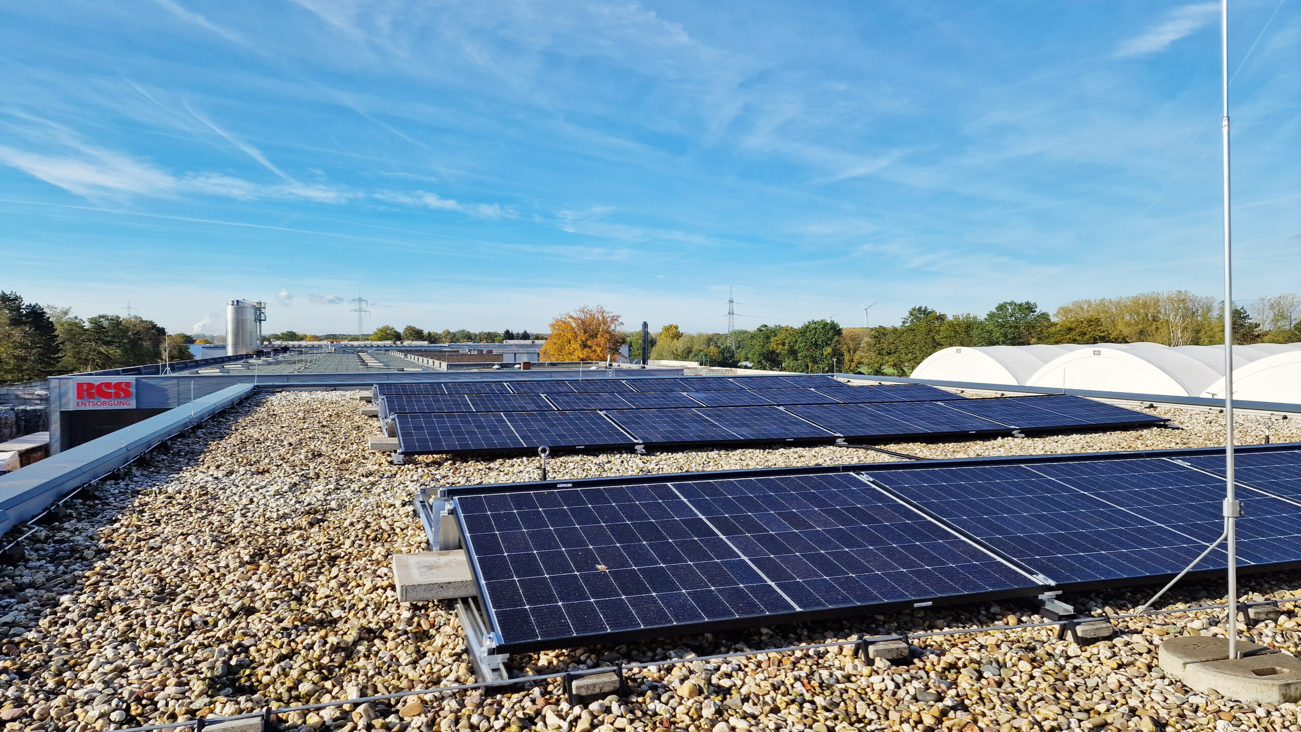 20221019_110846_bear-scaled